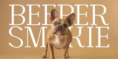 Cortexo by Foxtype — Display Font — thumbnail 5