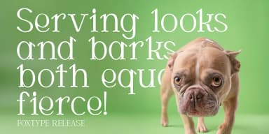 Cortexo by Foxtype — Display Font — thumbnail 6