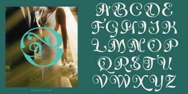 Dalbergia Script Font by TypeClassHeroes — Script Handwritten Font — thumbnail 3