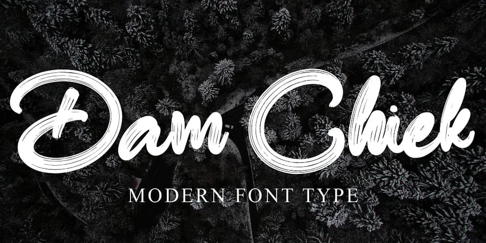 Dam Chiek by Ayska — Script Handwritten Font