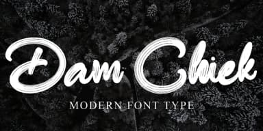 Dam Chiek by Ayska — Script Handwritten Font — thumbnail 1