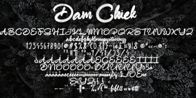 Dam Chiek by Ayska — Script Handwritten Font — thumbnail 2