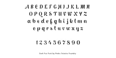 Dark Fox by Pedro Teixeira — Script Handwritten Font — thumbnail 5