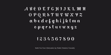 Dark Fox by Pedro Teixeira — Script Handwritten Font — thumbnail 7