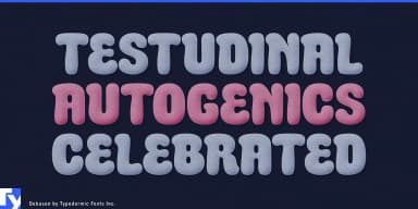 Debusen by Typodermic Fonts Inc. — Decorative Font — thumbnail 2