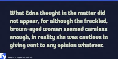 Debusen by Typodermic Fonts Inc. — Decorative Font — thumbnail 4