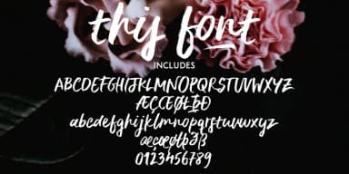 Delirium by Ana's Fonts — Display Font — thumbnail 4