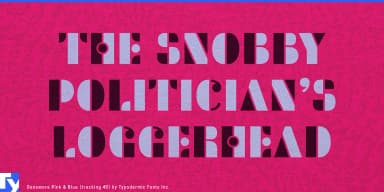 Densmore by Typodermic Fonts Inc. — Decorative Font — thumbnail 2