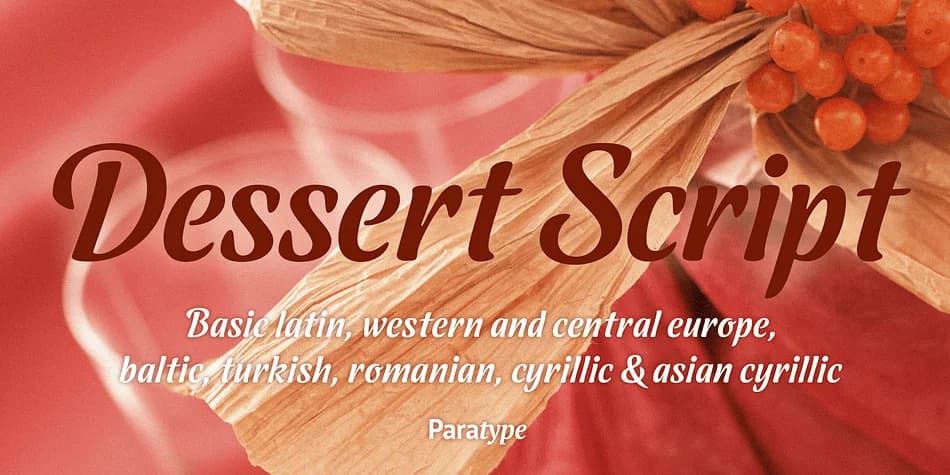 Dessert Script by ParaType — Script Handwritten Font
