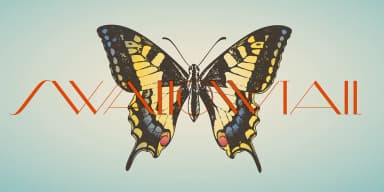 Diamond Ring by Dharma Type — Decorative Font — thumbnail 10