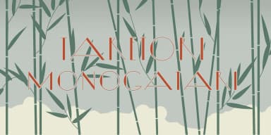 Diamond Ring by Dharma Type — Decorative Font — thumbnail 5