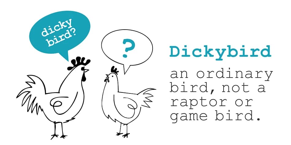 Dickybird Doodles by Outside the Line — Dingbats Font