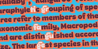 Ding 2 Extra by Rodrigo Typo — Dingbats Font — thumbnail 10