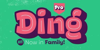 Ding Pro by Rodrigo Typo — Dingbats Font — thumbnail 2