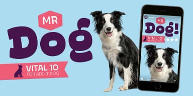 Ding Pro by Rodrigo Typo — Dingbats Font — thumbnail 6