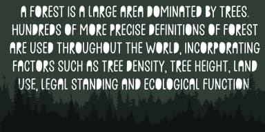 DIREKTEUR by Bogstav — Decorative Font — thumbnail 2