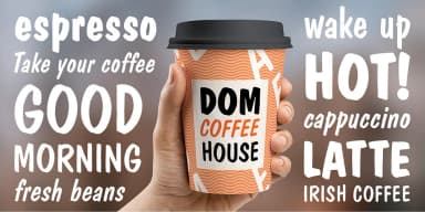 Dom Casual BT by ParaType — Display Font — thumbnail 3