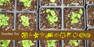 DoodlesToo by Outside the Line — Dingbats Font — thumbnail 1