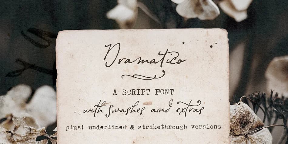 Dramatico Script by Ana's Fonts — Dingbats Font