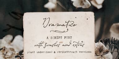 Dramatico Script by Ana's Fonts — Dingbats Font — thumbnail 1