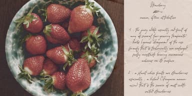 Dramatico Script by Ana's Fonts — Dingbats Font — thumbnail 10