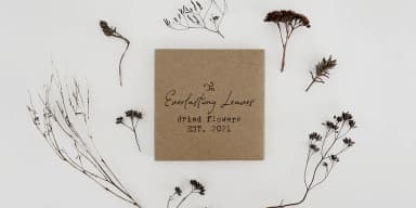 Dramatico Script by Ana's Fonts — Dingbats Font — thumbnail 2