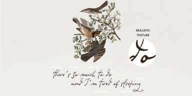 Dramatico Script by Ana's Fonts — Dingbats Font — thumbnail 4