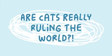 Dummy Notes by Pizzadude.dk — Display Font — thumbnail 8