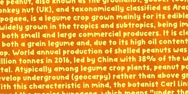 Easy Answer by Bogstav — Display Font — thumbnail 6