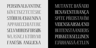 Eden CT by CastleType — Decorative Font — thumbnail 10