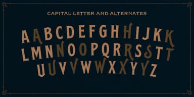 EFCO SPLANDOR by Ilham Herry — Dingbats Font — thumbnail 5
