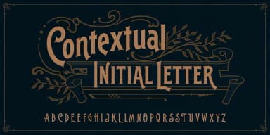 EFCO SPLANDOR by Ilham Herry — Dingbats Font — thumbnail 7