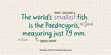 Elastique Stylo by type peace — Decorative Font — thumbnail 2