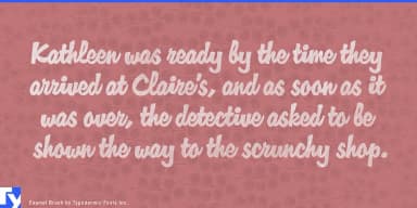 Enamel Brush by Typodermic Fonts Inc. — Script Handwritten Font — thumbnail 4