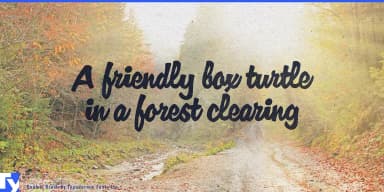 Enamel Brush by Typodermic Fonts Inc. — Script Handwritten Font — thumbnail 6