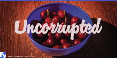 Enamel Brush by Typodermic Fonts Inc. — Script Handwritten Font — thumbnail 7