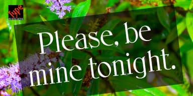 Endoradine by Type Associates — Decorative Font — thumbnail 2