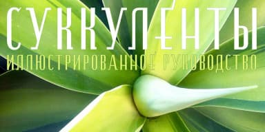 ESENCIA by CastleType — Decorative Font — thumbnail 3