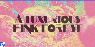 EVENSONG by Typodermic Fonts Inc. — Decorative Font — thumbnail 6