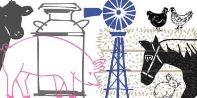 Farm Doodles by Outside the Line — Dingbats Font — thumbnail 3