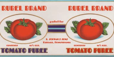 Fascinate Pro by Stiggy & Sands — Decorative Font — thumbnail 8