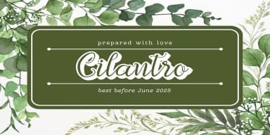 Feeling by Aditastudios — Script Handwritten Font — thumbnail 5