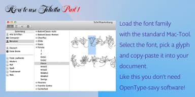 Felicita by Wiescher-Design — Dingbats Font — thumbnail 10