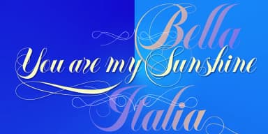 Felicita by Wiescher-Design — Dingbats Font — thumbnail 2