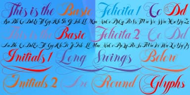 Felicita by Wiescher-Design — Dingbats Font — thumbnail 6