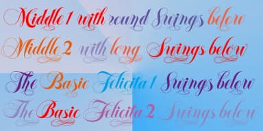 Felicita by Wiescher-Design — Dingbats Font — thumbnail 7