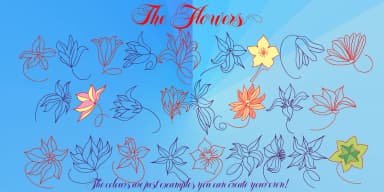 Felicita by Wiescher-Design — Dingbats Font — thumbnail 8