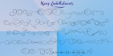 Felicita by Wiescher-Design — Dingbats Font — thumbnail 9