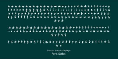 Feris Script by Pedro Teixeira — Script Handwritten Font — thumbnail 4