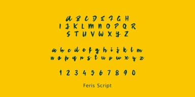 Feris Script by Pedro Teixeira — Script Handwritten Font — thumbnail 5